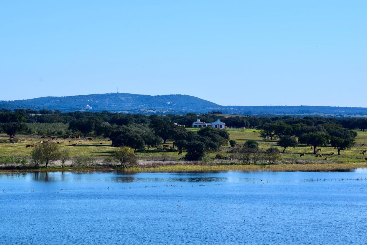 Herdade Da Burquilheira Family Retreat Alcáçovas 외부 사진