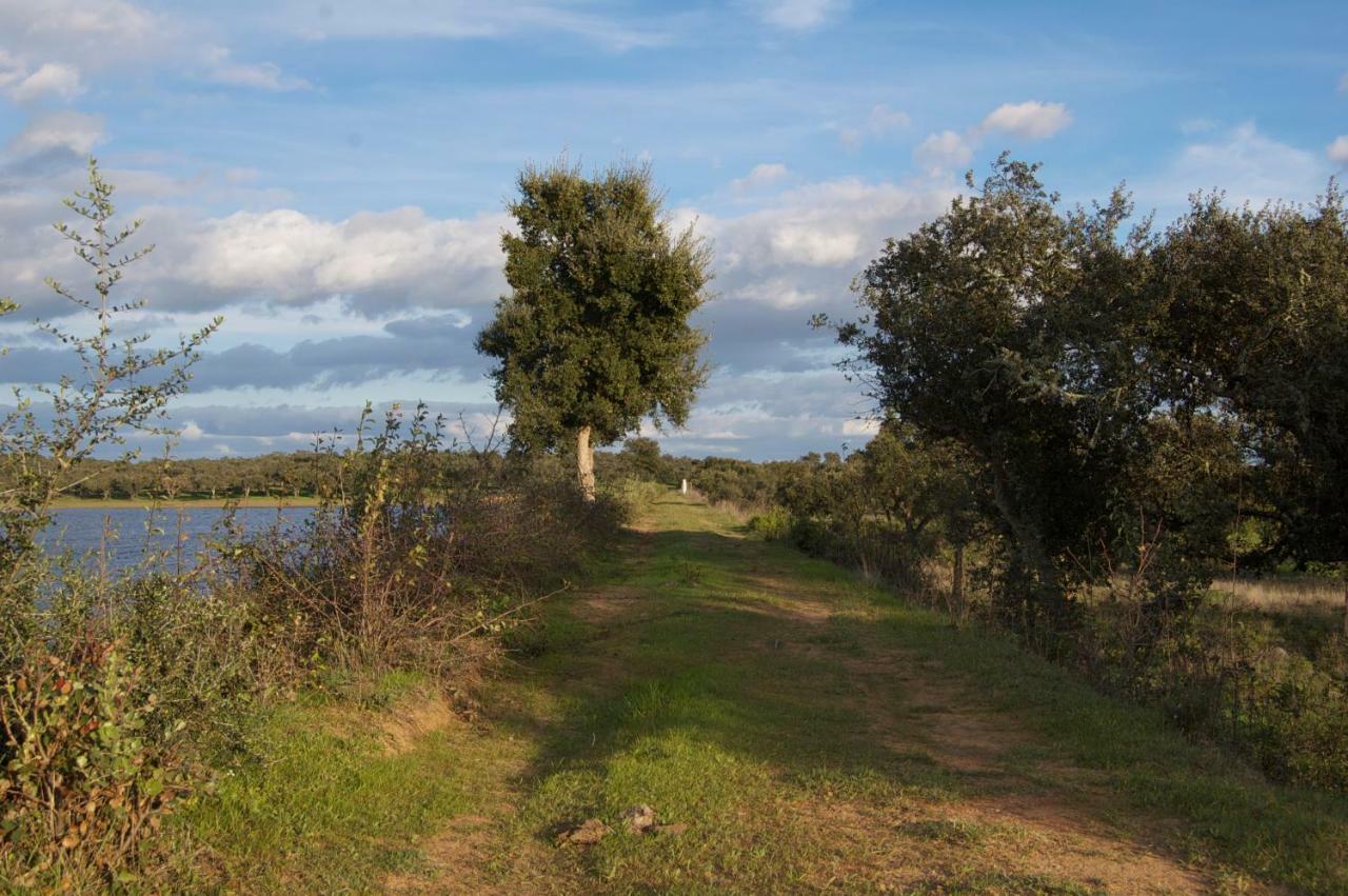 Herdade Da Burquilheira Family Retreat Alcáçovas 외부 사진
