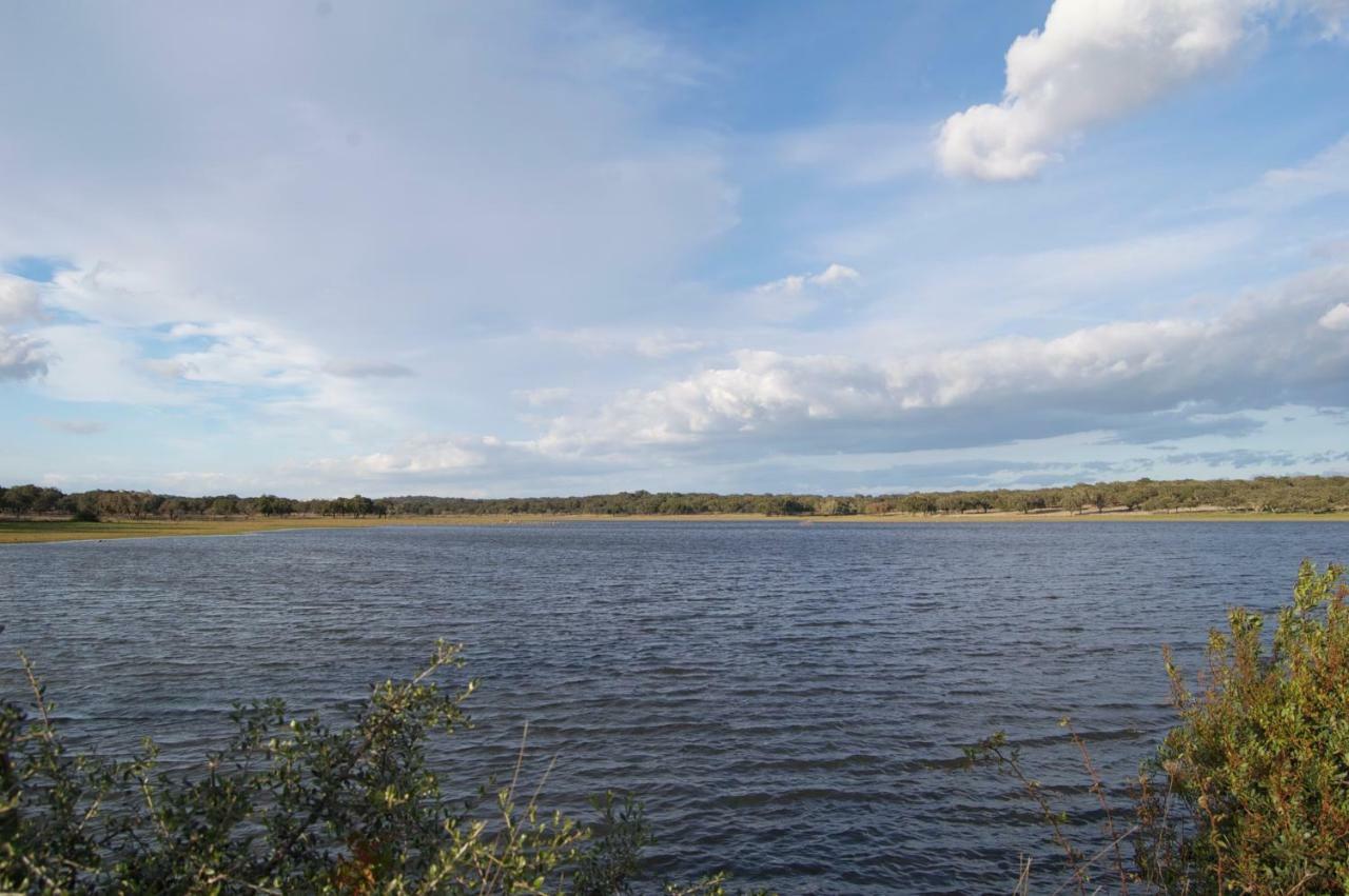 Herdade Da Burquilheira Family Retreat Alcáçovas 외부 사진