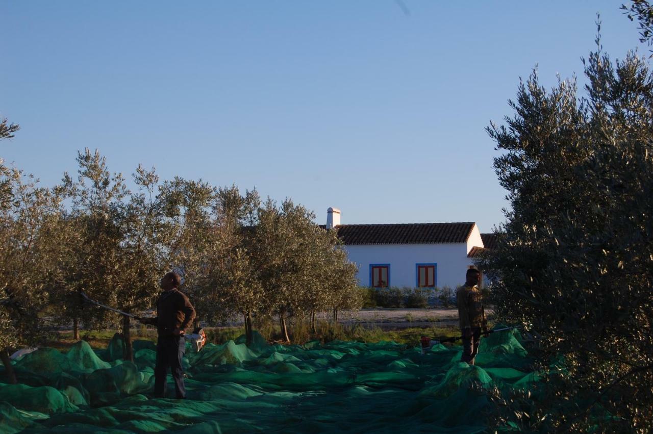 Herdade Da Burquilheira Family Retreat Alcáçovas 외부 사진